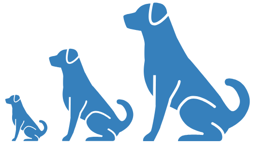 Suitable for All Sizes