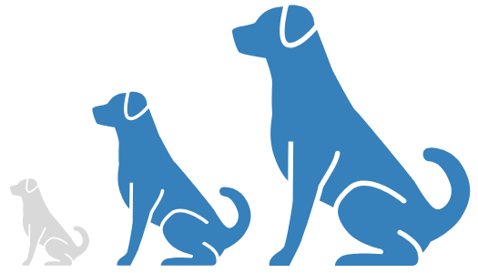 Suitable for Medium & Large