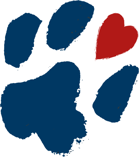 Meal Donation For A Rescue Dog